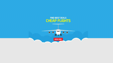 Spirit Airlines Reservations