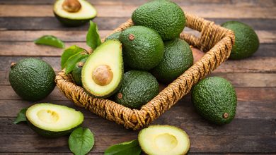 Avocado benefits for the health of a life