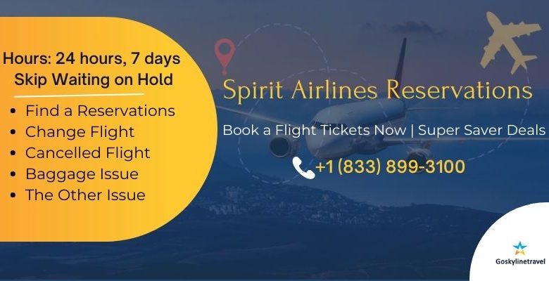 Spirit Airlines Reservations