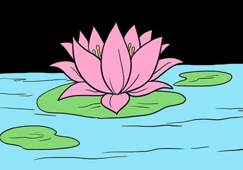 Lotus Flower Drawing