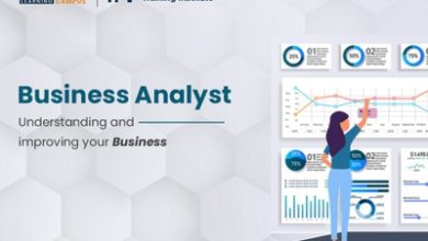 Business analyst