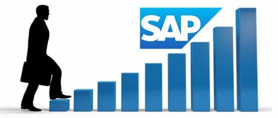 What is SAP? How does SAP help to maximize business performance?