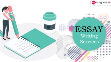 essay writing service