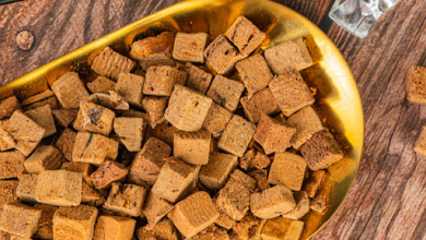 How do you choose to freeze dried dog treats?