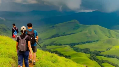 Kodachadri Trek