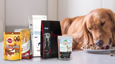 11 The Best Dog Food With Grains