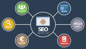 Boost Conversion Rates Using SEO