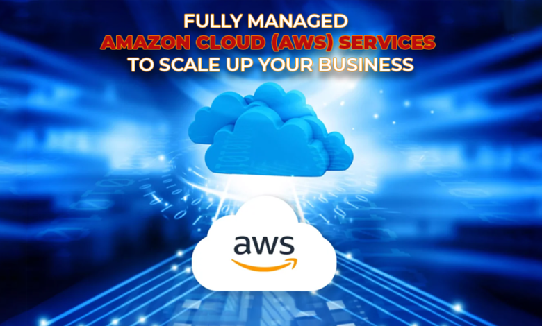 Managed Amazon Cloud Services