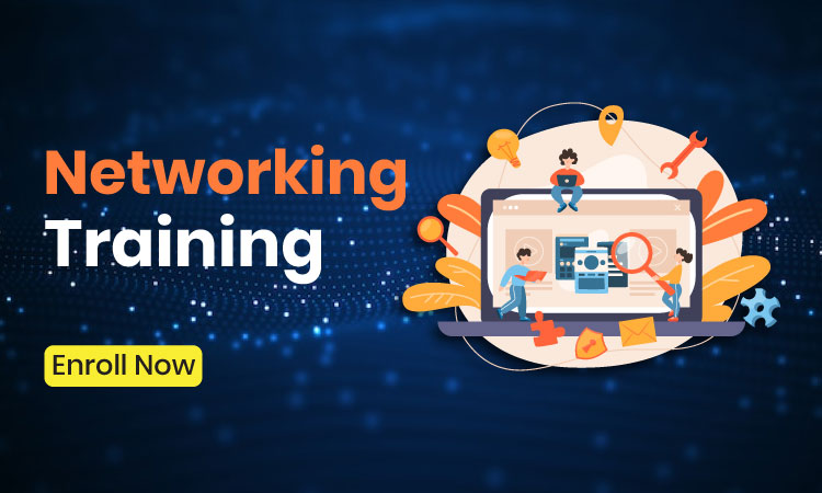 Networking Training