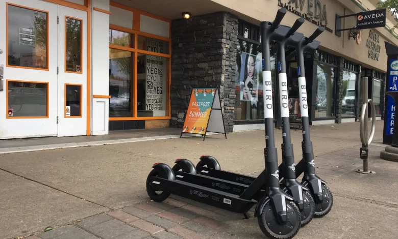 electric scooter for adults canada